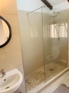 Pretoria的住宿－The Loft@Santorini，一间带卫生间的浴室内的玻璃淋浴间
