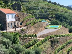 una imagen de una casa en una colina con piscina en Casa da Oliveira, en Mesão Frio