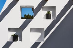 a letter m with potted plants on a wall at Alleys All-Suite Hotel & Spa in Pirgos