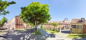 
a tree in the middle of a street at Hotel Hafenresidenz Stralsund in Stralsund
