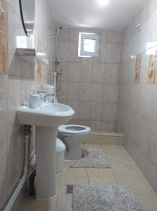 uma casa de banho com um lavatório e um WC em Casa Denisa em Sulina