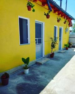 um edifício amarelo com portas e vasos de plantas sobre ele em Casa Denisa em Sulina