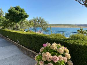 a bush with flowers in front of a fence at Villa Punta in Rovanjska