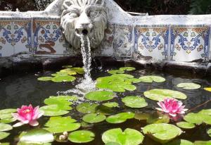 una fuente con una cabeza de león en un estanque con lirios en Casa Margarita, en Algarinejo