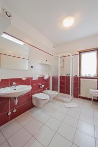 La salle de bains est pourvue d'un lavabo, de toilettes et d'une douche. dans l'établissement Hotel Select, à Andalo