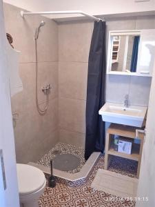 un bagno con doccia, lavandino e WC di Agave apartments a Stara Baška
