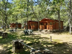 une cabine dans les bois avec une table de pique-nique devant elle dans l'établissement Camping Las Cavenes, à El Cabaco