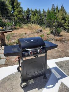 Attrezzature per barbecue disponibili per gli ospiti della casa vacanze