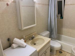 um banheiro com pia, vaso sanitário e chuveiro em Stergios Apartment Evdilos Ikaria em Evdilos