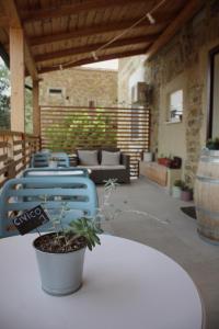 a potted plant sitting on a table in a patio at Civico 1 in San Mauro Cilento