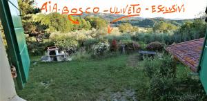 vista su un giardino con alberi e cespugli di BeBrettino Atipico. Un into the wild tranquillo a Trebbiantico