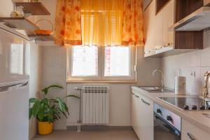 Kuchyň nebo kuchyňský kout v ubytování Apartment Marija