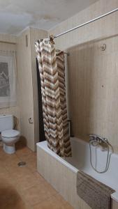 a bathroom with a toilet and a shower curtain at Apartamento de habitaciones privadas en el centro de Málaga in Málaga