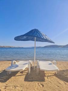 2 tumbonas y una sombrilla en la playa en Nagi Beach Hotel, en Gümbet