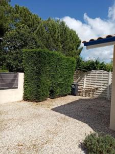 a large green hedge next to a fence at La girolle in Hourtin