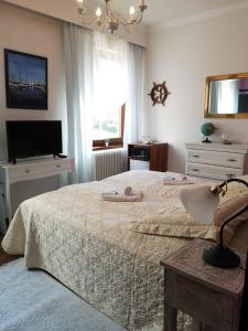 TV a/nebo společenská místnost v ubytování Hotel König Stefan