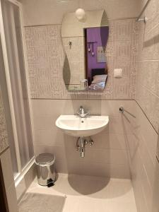 a bathroom with a sink and a mirror at Hotel König Stefan in Bad Deutsch Altenburg