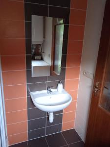 La salle de bains est pourvue d'un lavabo et d'un miroir. dans l'établissement Apartmán Meduňková, à Zlín