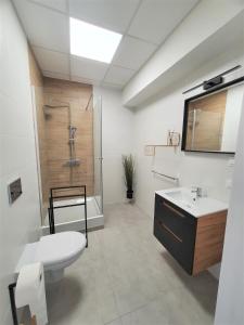La salle de bains est pourvue de toilettes, d'un lavabo et d'une douche. dans l'établissement Apartamenty Rynek, à Białystok