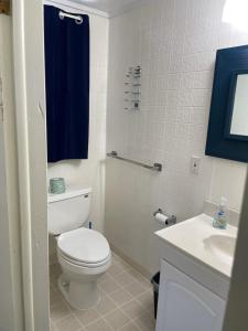 La salle de bains est pourvue de toilettes blanches et d'un lavabo. dans l'établissement Pure Paradise Resort, à Carp Lake