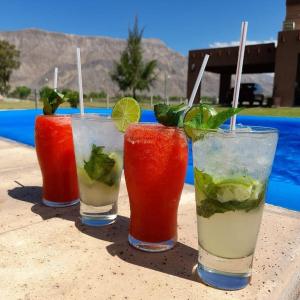 tres cócteles sentados en una mesa junto a una piscina en Barrio Privado Los Sauces, en San Juan