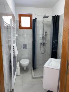 a bathroom with a shower and a toilet and a sink at Família Apartmanház in Sárvár