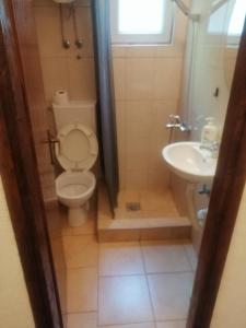 bagno con servizi igienici e lavandino di Guesthouse Panorama a Mostar