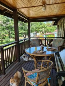 un porche con mesa, sillas y un perro en Natures Cabin, en Hibberdene