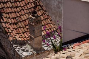 a brick wall with a flower pot next to a building at Komiza Provita Guesthouse in Komiža