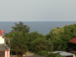 Príroda v okolí apartmánu
