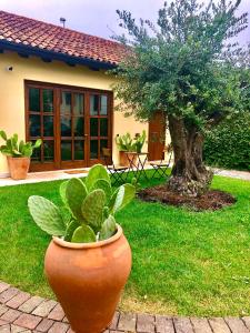 Κήπος έξω από το Maison Silvia
