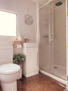 a bathroom with a white toilet and a shower at The Cabin Project in Portglenone