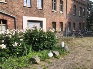 Imagen de la galería de Nr9Marinehafen, en Stralsund