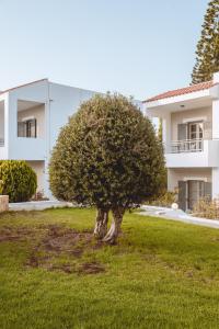 A garden outside Iphigenia Mythic Retreat