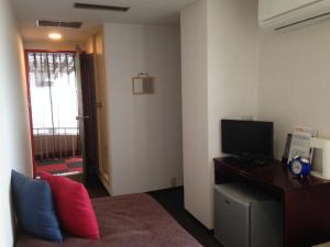 TV a/nebo společenská místnost v ubytování Nagano Plaza Hotel