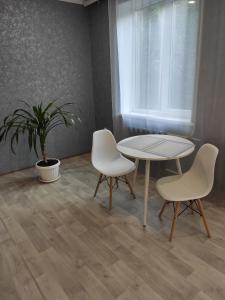 a table and two chairs and a table and a plant at New apartments Уютная студия в центре города Дзержинка in Kryvyi Rih