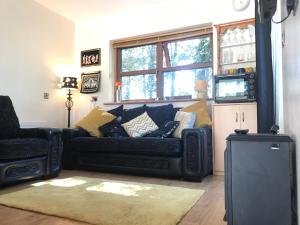 a living room with a black couch with pillows at Pigeon Brae pet friendly accommodation Enniskillen in Enniskillen