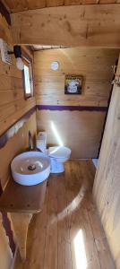 ein Bad mit einem Waschbecken und einem WC in einer Hütte in der Unterkunft Roulotte dans l'Aude in Trausse