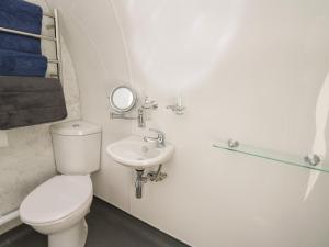 a bathroom with a toilet and a sink at Seren in Llandrindod Wells +7 photos
