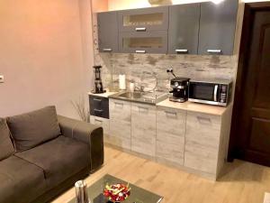 uma sala de estar com um sofá e uma cozinha em Comfort Luxury Apartments em Vratsa