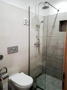 a bathroom with a toilet and a glass shower at Occasus Room Comfort in Halki