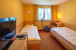 TV a/nebo společenská místnost v ubytování Sonne Bezau - Familotel Bregenzerwald