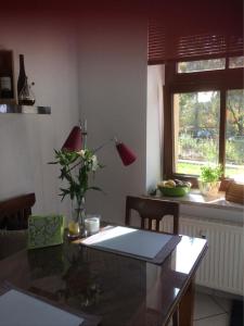 - un salon avec une table et une fenêtre dans l'établissement Auf der Zschopau-Insel, à Zschopau