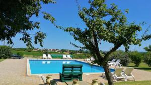 a swimming pool with chairs and a tree at Moratto's Apartments in Umag