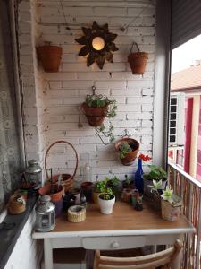 una mesa con macetas en la pared en Anahouse, en Alcalá de Henares