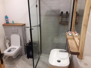 Kúpeľňa v ubytovaní Jaśkowa Chata Bieszczady apartament z basenem