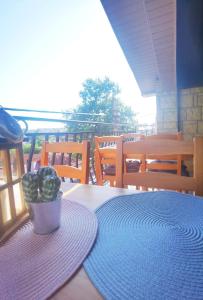 a cactus sitting on a table with a blue rug at Casa Laura in Mangalia
