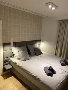 Posteľ alebo postele v izbe v ubytovaní Apartament Opieszyn 16