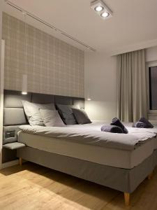 Posteľ alebo postele v izbe v ubytovaní Apartament Opieszyn 16