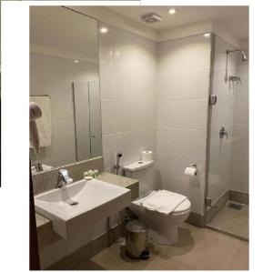 a bathroom with a sink and a toilet and a mirror at Condominio Vista azul Flat-Hotel in Pedra Azul
